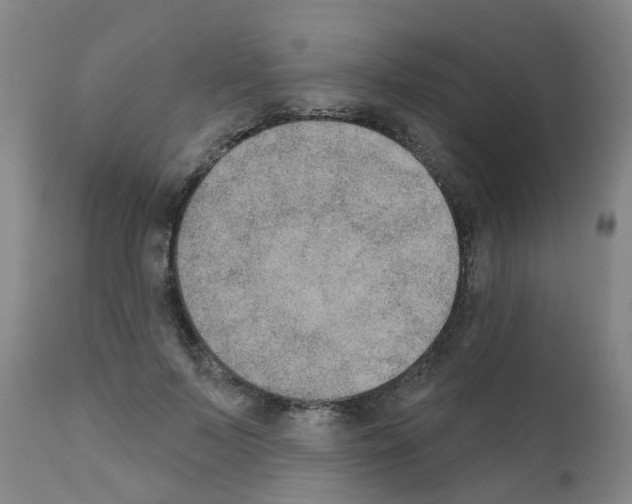X0000111520695200908251137