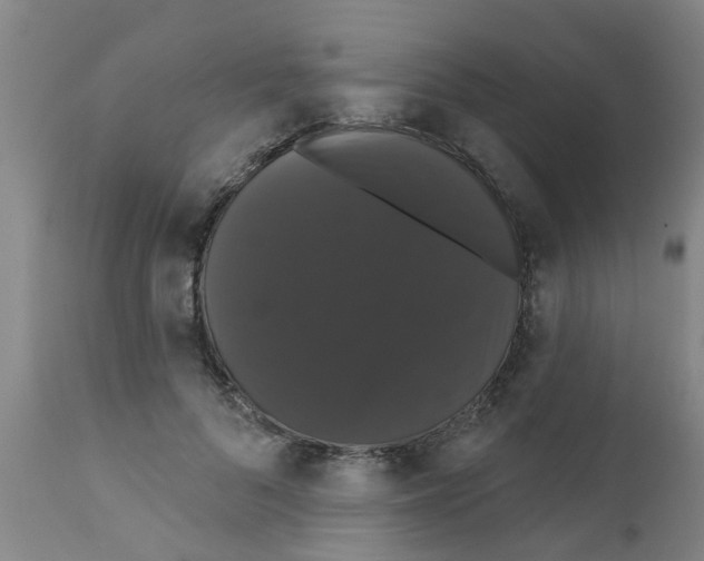 X0000111520696200908251137
