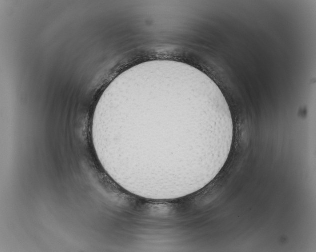 X0000111520698200908251137