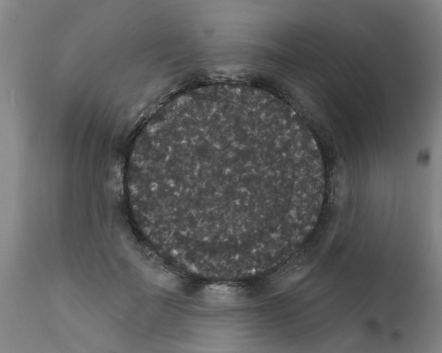 X0000111520699200908251137