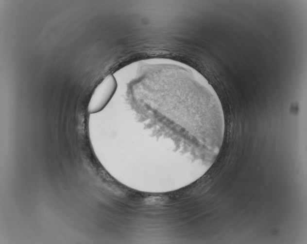 X0000111520700200908251137