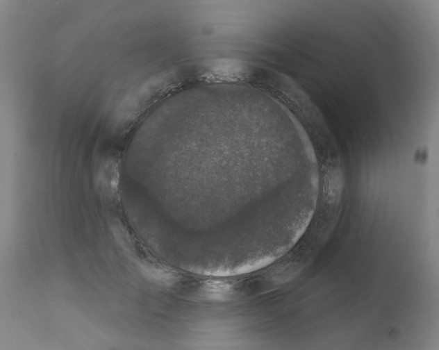 X0000111520701200908251137