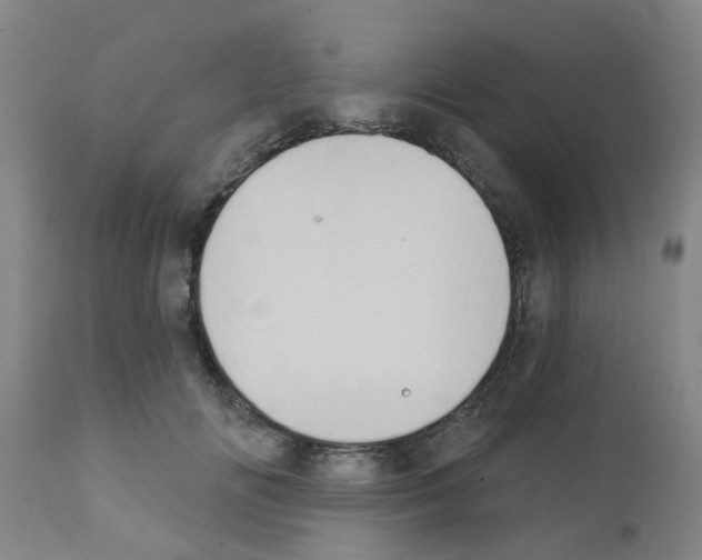 X0000111520702200908251137