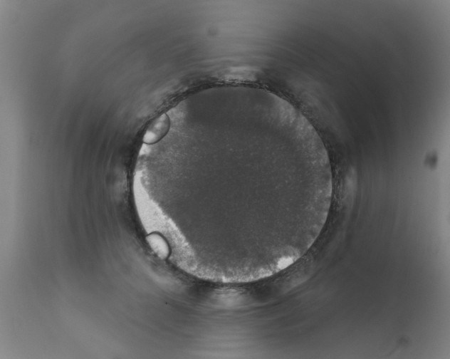 X0000111520704200908251137