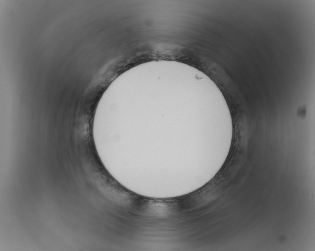 X0000111520706200908251137