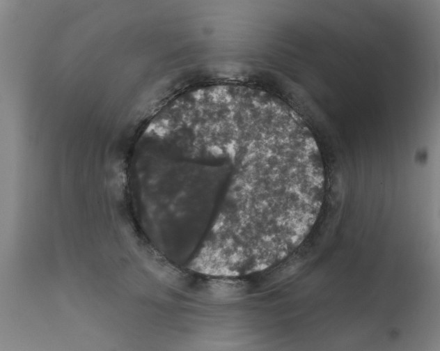 X0000111520707200908251137