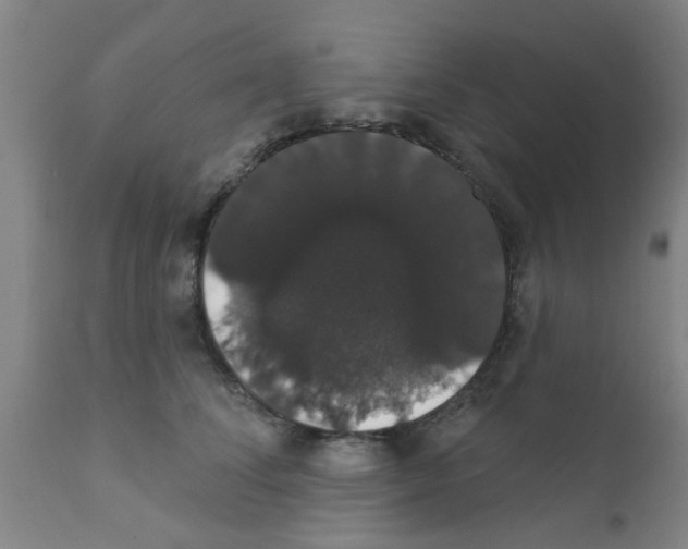 X0000111520708200908251137