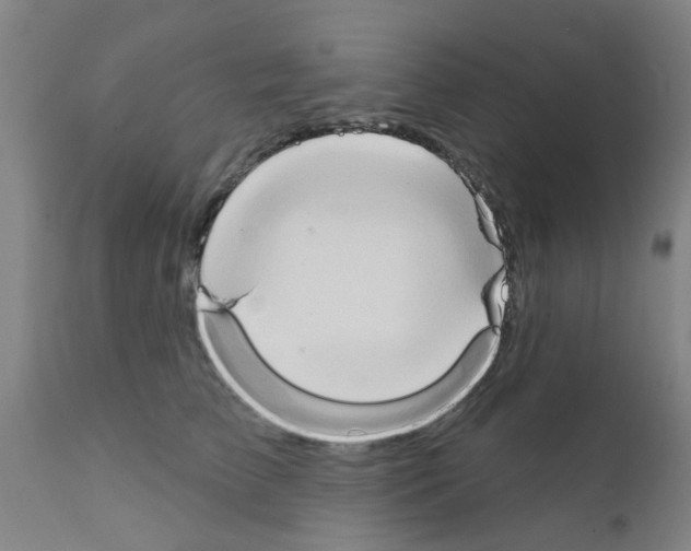 X0000111520709200908251137