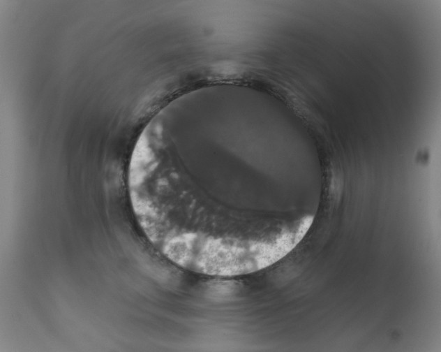 X0000111520711200908251137