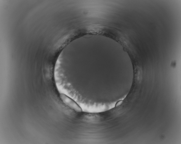 X0000111520712200908251137