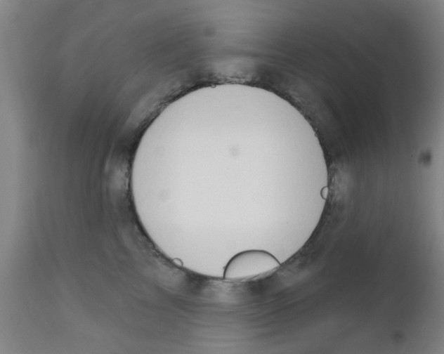X0000111520713200908251137
