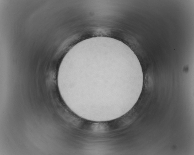 X0000111520714200908251137