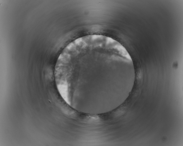 X0000111520715200908251137