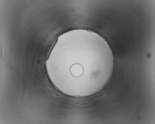 X0000111520716200908251137