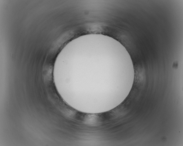 X0000111520717200908251137