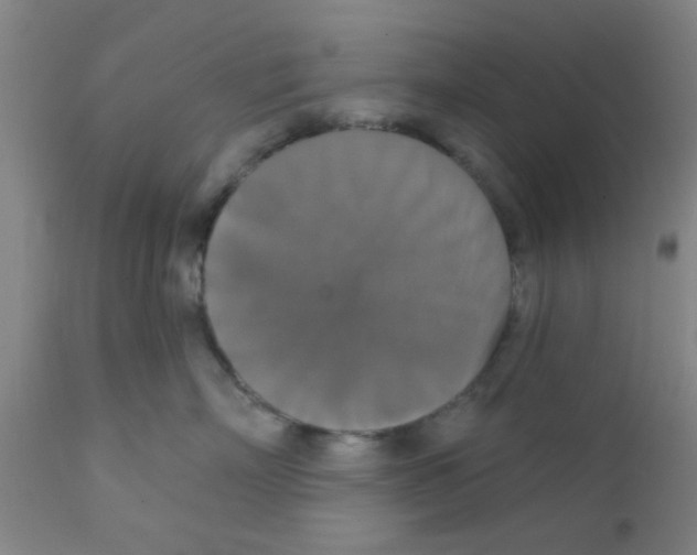 X0000111520718200908251137