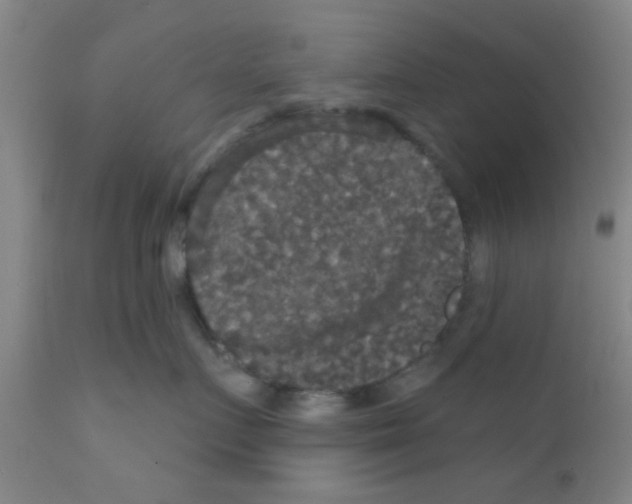 X0000111520719200908251137