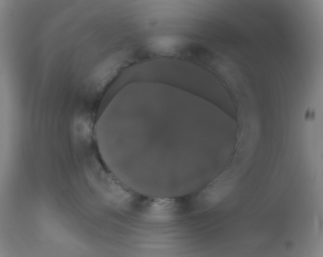 X0000111520720200908251137