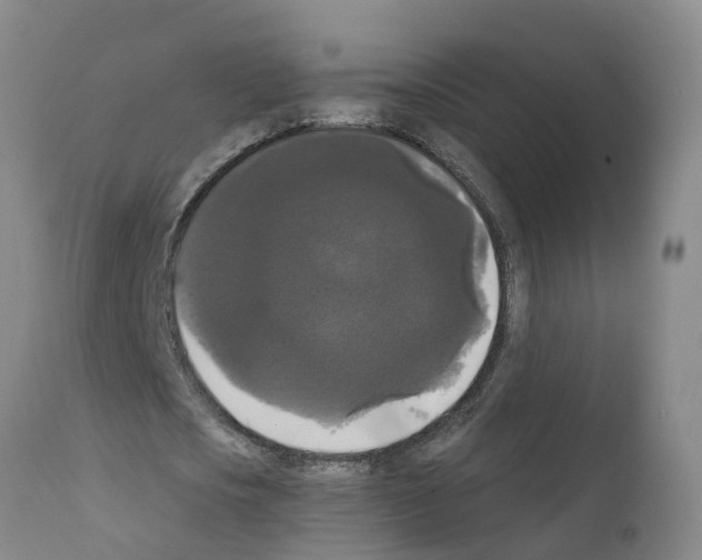 X0000111520721200908251136