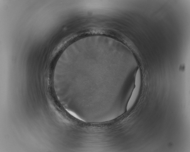 X0000111520722200908251136