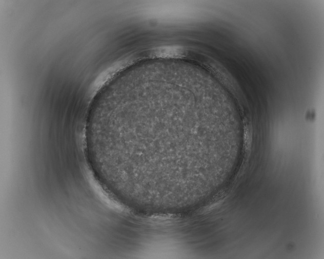 X0000111520725200908251136