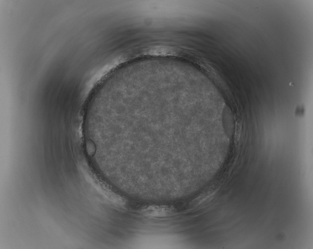 X0000111520727200908251136