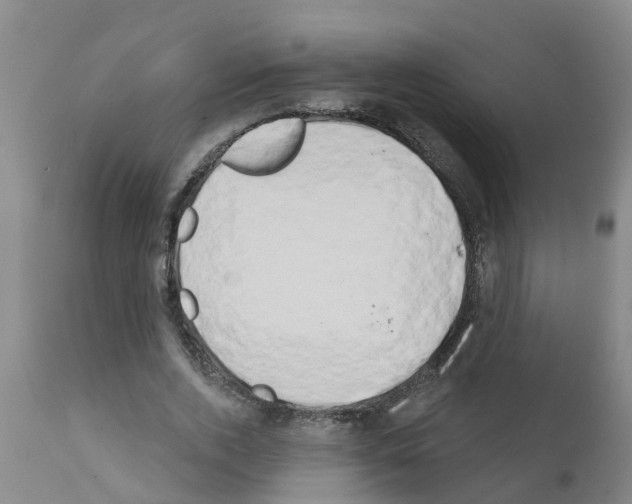 X0000111520728200908251136