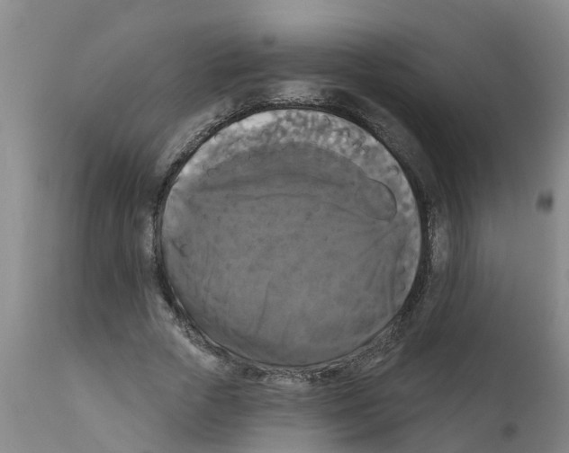 X0000111520729200908251136