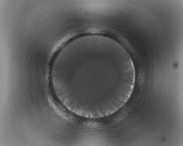 X0000111520730200908251136
