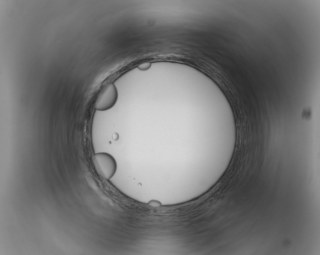X0000111520732200908251136