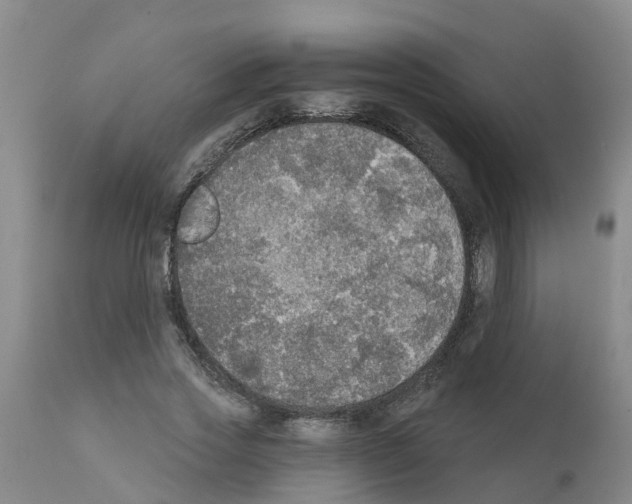 X0000111520733200908251136