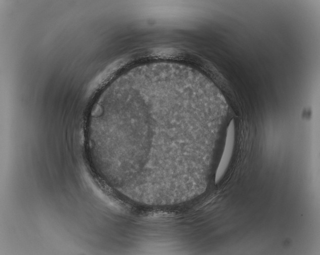 X0000111520734200908251136