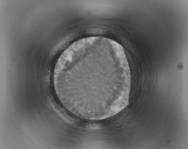 X0000111520735200908251136