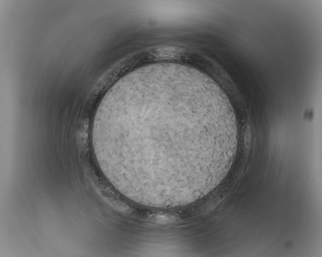 X0000111520737200908251136