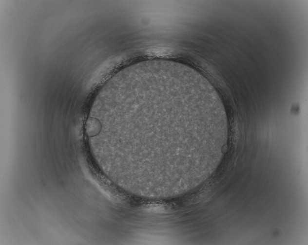 X0000111520738200908251136