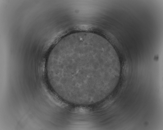 X0000111520739200908251136