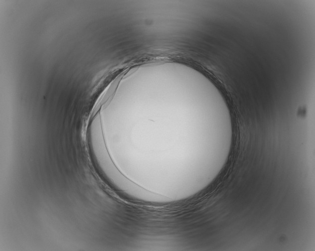 X0000111520740200908251136