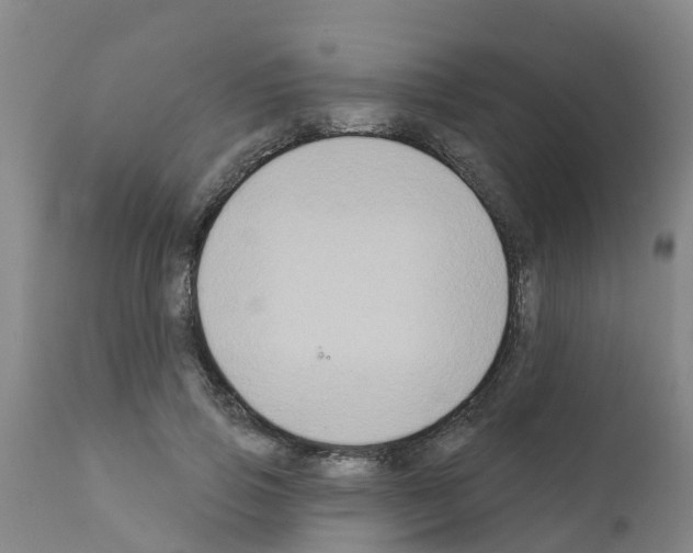 X0000111520741200908251136