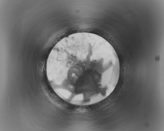 X0000111520742200908251136