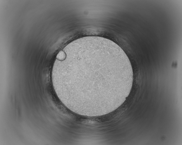 X0000111520743200908251136