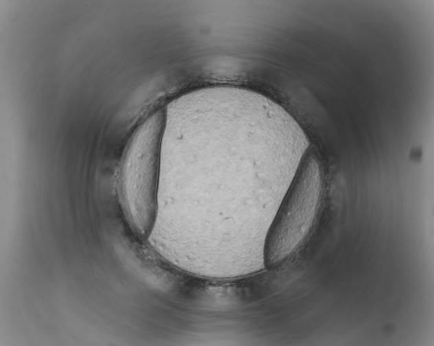 X0000111520744200908251136