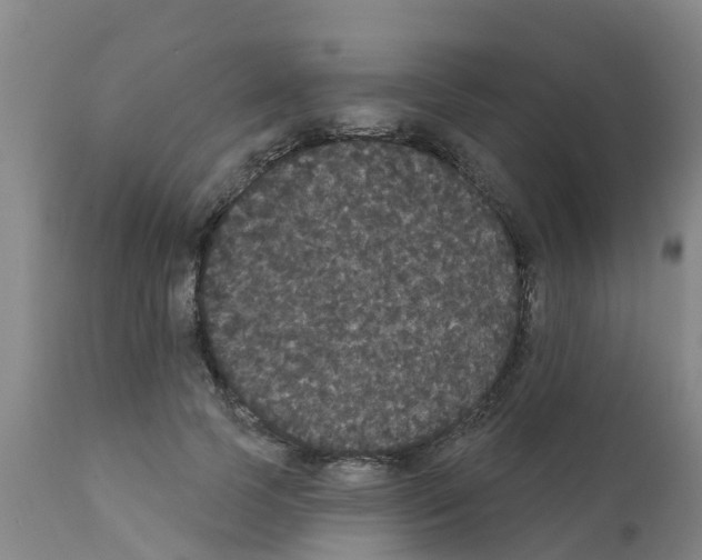X0000111520745200908251136