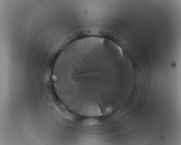 X0000111520747200908251136
