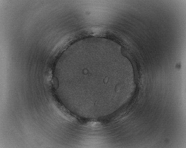 X0000111520748200908251137