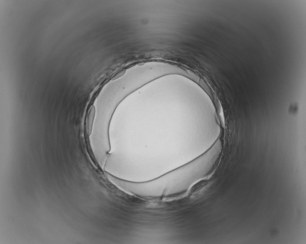 X0000111520750200908251137