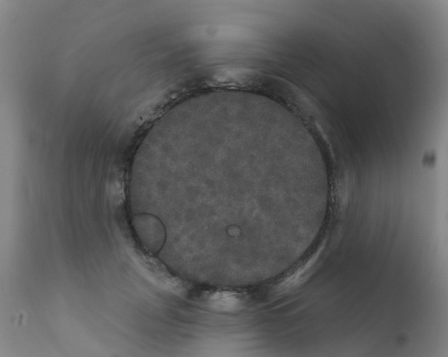 X0000111520751200908251137