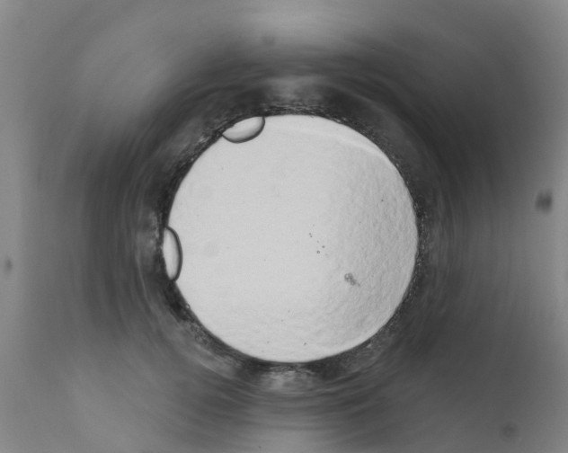 X0000111520752200908251137