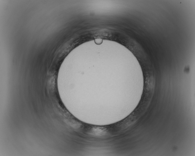 X0000111520753200908251137