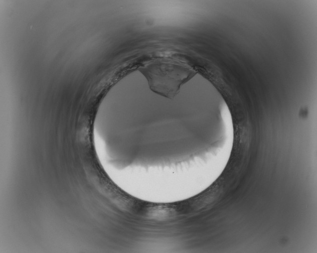 X0000111520754200908251137
