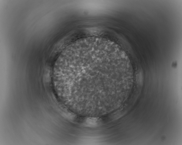 X0000111520757200908251137